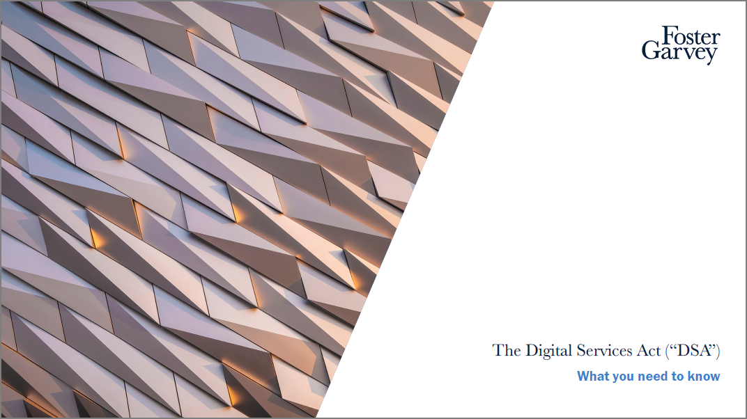 The Digital Services Act (&ldquo;DSA&rdquo;) &ndash; What You Need to Know