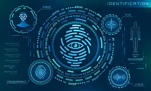 BREAKING NEWS: IL Supreme Court Holds Workers’ Compensation Exclusive Remedy Does Not Kill BIPA Claims