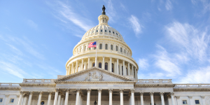 government contracts photo