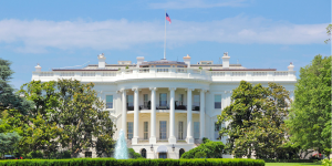 government contracts photo