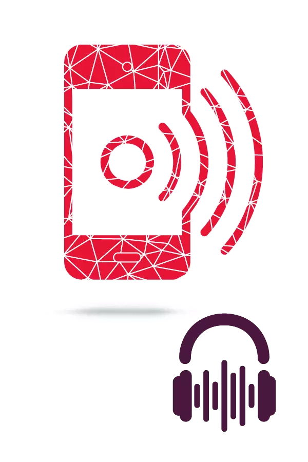 The Telephone Consumer Protection Act and the 2020 Election